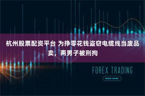 杭州股票配资平台 为挣零花钱盗窃电缆线当废品卖，两男子被刑拘