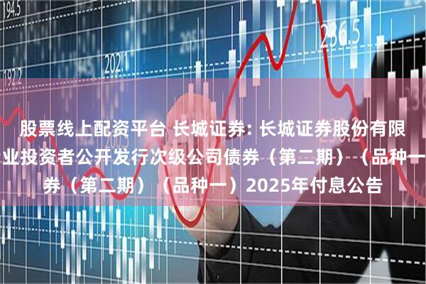 股票线上配资平台 长城证券: 长城证券股份有限公司2024年面向专业投资者公开发行次级公司债券（第二期）（品种一）2025年付息公告